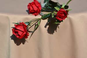 Damaszt terítő mogyoró - Zsófi szennytaszító